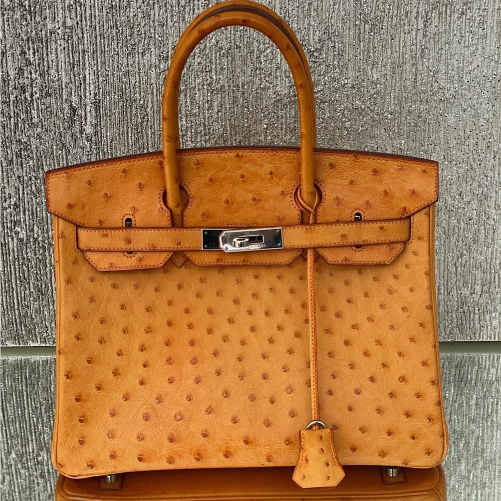 Hermes Birkin Handbag Tangerine Ostrich with Palladium Hardware 30 Orange